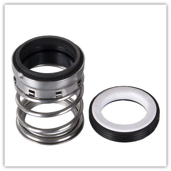 TYPE 1 Mechanical Seals